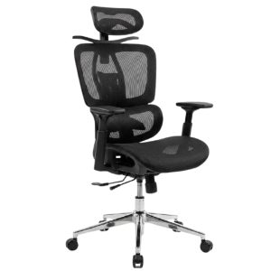 SILLA PRESIDENCIAL FRANCIA